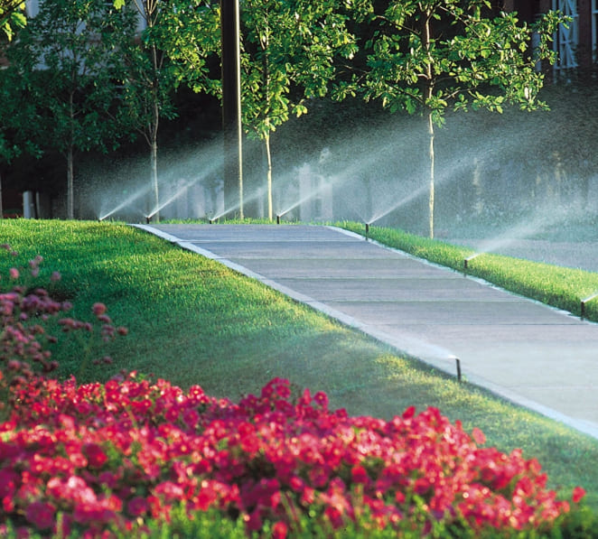 Instalación de riego