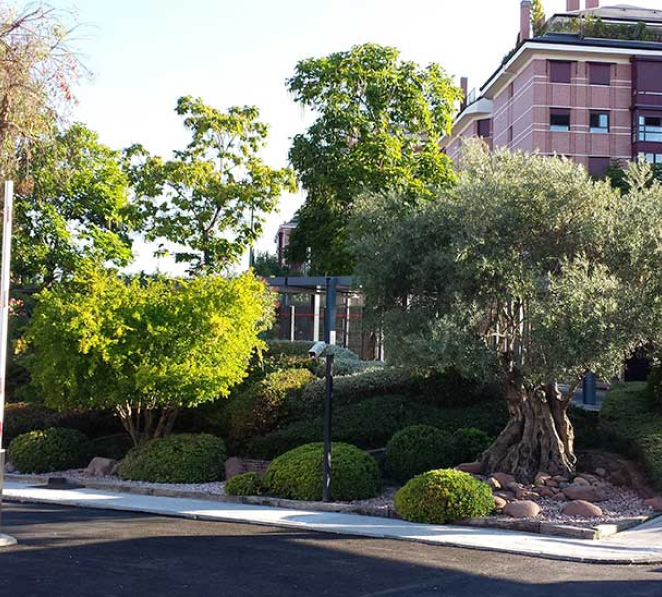 Mantenimiento de parques públicos, comunidades privadas, oficinas, parques empresariales