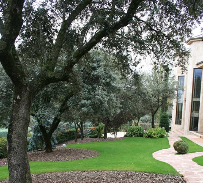 Tratamientos fitosanitarios