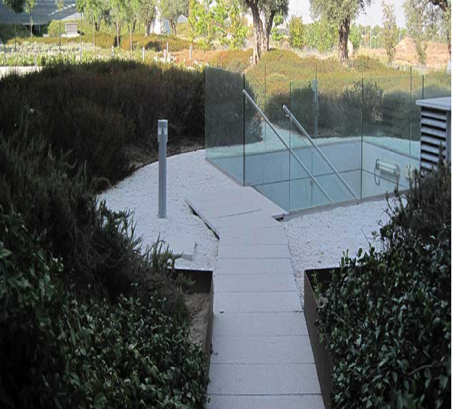 Podas y apeos de especies vegetales